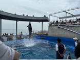 大分マリーンパレス水族館 「うみたまご」に投稿された画像（2025/5/16）