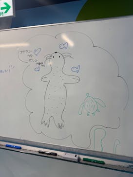 伊豆・三津シーパラダイスに投稿された画像（2025/5/16）