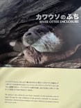 環境水族館アクアマリンふくしまに投稿された画像（2025/5/16）