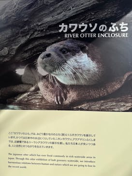 環境水族館アクアマリンふくしまに投稿された画像（2025/5/16）