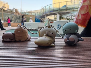 サンシャイン水族館に投稿された画像（2025/5/16）