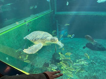 箱根園水族館に投稿された画像（2025/5/16）