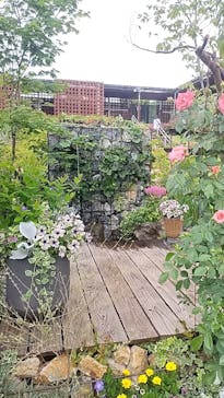 ぎふワールド・ローズガーデンに投稿された画像（2025/5/16）