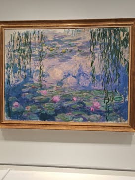 モネ　睡蓮のときに投稿された画像（2025/5/17）