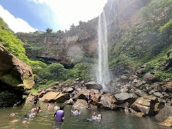 西表島ツアーガイドカラカラに投稿された画像（2025/5/17）