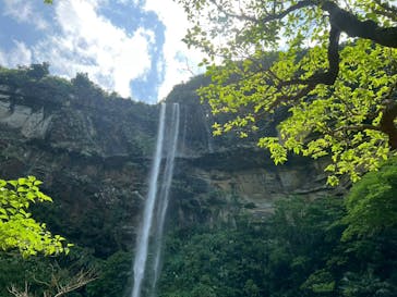 西表島ツアーガイドカラカラに投稿された画像（2025/5/17）