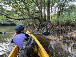 西表島ツアーガイドカラカラに投稿された画像（2025/5/17）
