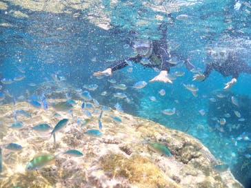 宮古島マリンショップSmileyに投稿された画像（2025/5/17）