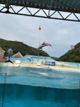 下田海中水族館に投稿された画像（2025/5/17）