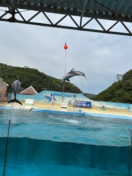下田海中水族館に投稿された画像（2025/5/17）