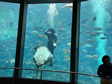 下田海中水族館に投稿された画像（2025/5/17）