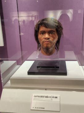 特別展「古代DNA－日本人のきた道」（国立科学博物館）に投稿された画像（2025/5/17）