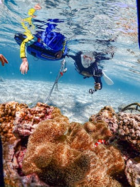 SUNSHINE MARIN 宮古島に投稿された画像（2025/5/17）