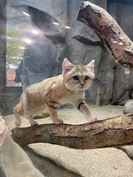 那須どうぶつ王国に投稿された画像（2025/5/17）