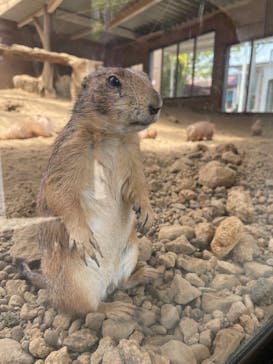 那須どうぶつ王国に投稿された画像（2025/5/17）
