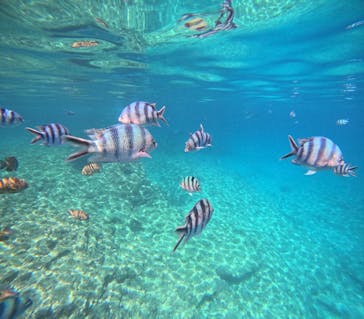 沖縄マリンサービス碧に投稿された画像（2025/5/17）