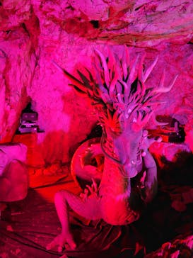 江の島岩屋に投稿された画像（2025/5/17）