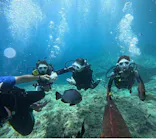 武藤潜水に投稿された画像（2025/5/17）