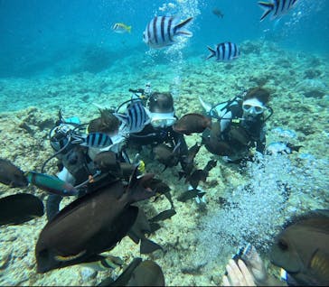 武藤潜水に投稿された画像（2025/5/17）