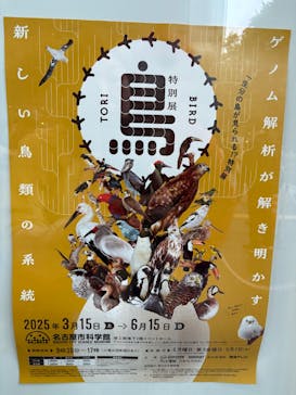 特別展「鳥～ゲノム解析が解き明かす新しい鳥類の系統～」に投稿された画像（2025/5/17）