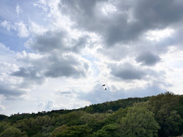 那須どうぶつ王国に投稿された画像（2025/5/17）