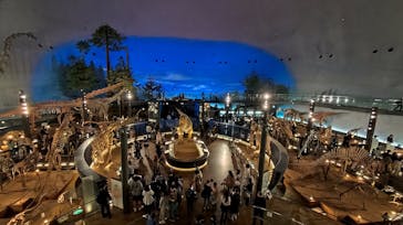 福井県立恐竜博物館に投稿された画像（2025/5/17）