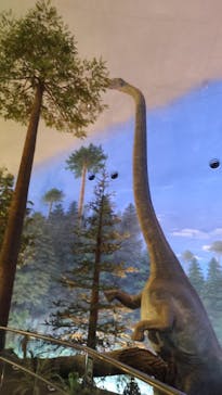 福井県立恐竜博物館に投稿された画像（2025/5/17）