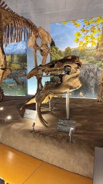 福井県立恐竜博物館に投稿された画像（2025/5/17）
