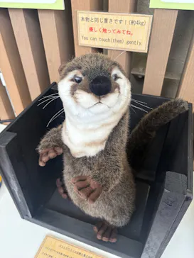 サンシャイン水族館に投稿された画像（2025/5/17）