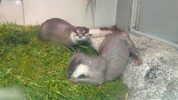 サンシャイン水族館に投稿された画像（2025/5/17）