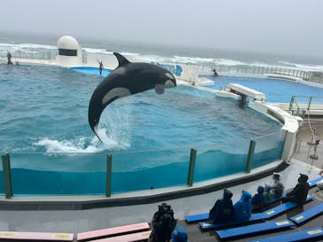 鴨川シーワールドに投稿された画像（2025/5/17）