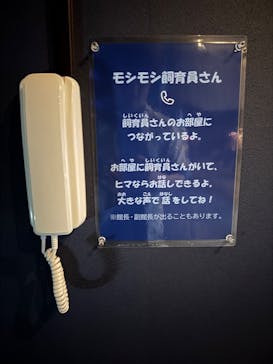 竹島水族館に投稿された画像（2025/5/17）