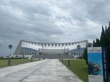 マリンワールド海の中道に投稿された画像（2025/5/17）