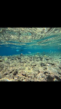 武藤潜水に投稿された画像（2025/5/17）