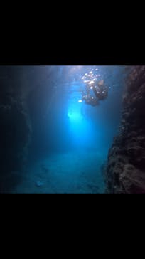 武藤潜水に投稿された画像（2025/5/17）