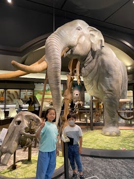 滋賀県立琵琶湖博物館に投稿された画像（2025/5/17）