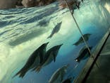名古屋港水族館に投稿された画像（2025/5/17）
