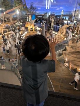 福井県立恐竜博物館に投稿された画像（2025/5/17）