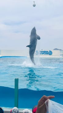 鴨川シーワールドに投稿された画像（2025/5/17）