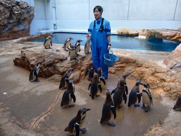 島根県立 しまね海洋館に投稿された画像（2025/5/17）