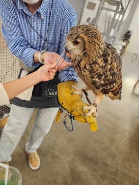 Moff アニマル カフェ イーアス 高尾店に投稿された画像（2025/5/17）