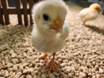 Moff アニマル カフェ イーアス 高尾店に投稿された画像（2025/5/17）