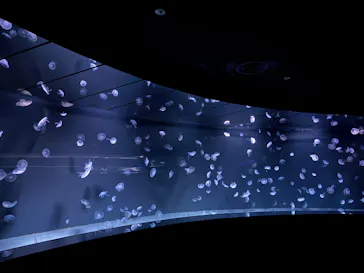 サンシャイン水族館に投稿された画像（2025/5/17）