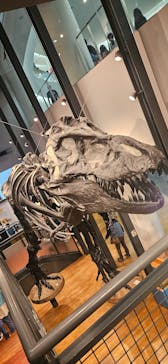 福井県立恐竜博物館に投稿された画像（2025/5/17）