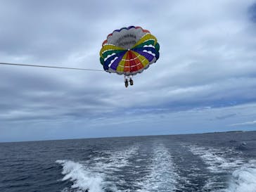 マリンショップ マーメイドに投稿された画像（2025/5/17）