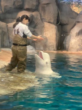 名古屋港水族館に投稿された画像（2025/5/17）