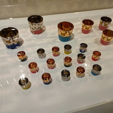 ポケモン×工芸展－美とわざの大発見－に投稿された画像（2025/5/17）