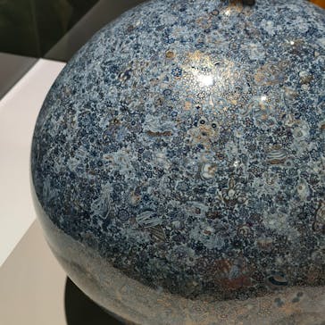 ポケモン×工芸展－美とわざの大発見－に投稿された画像（2025/5/17）