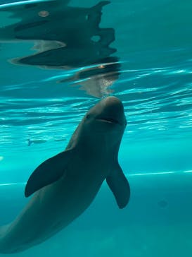 マリンワールド海の中道に投稿された画像（2025/5/17）