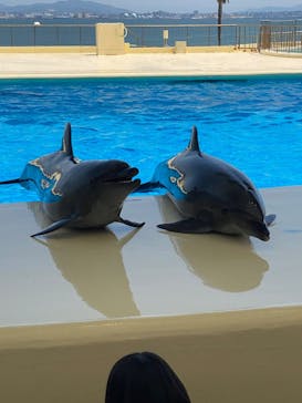 マリンワールド海の中道に投稿された画像（2025/5/17）